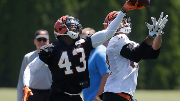 bengals-training-camp-marvin-lewis-nfl-preseason.jpg